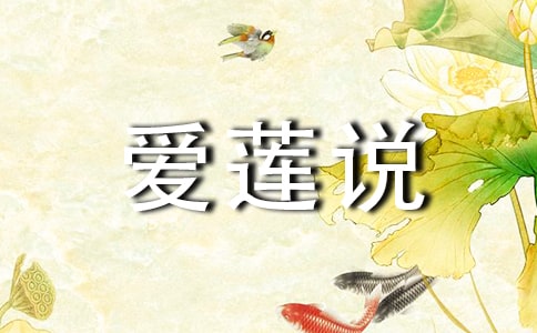 ������˵�������8ƪ