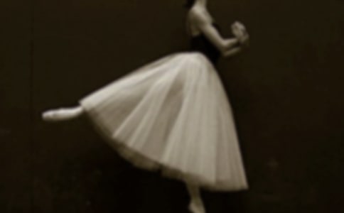 ��СӢ�ۺͰ��ٹ����������