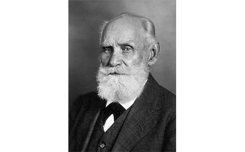 �͸�����æ�����