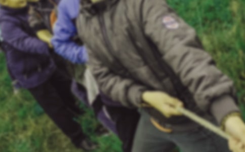 拔河比赛方案【荐】