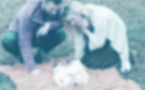 ���ְ�����ĸ�л��15ƪ