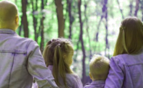 ����ף����