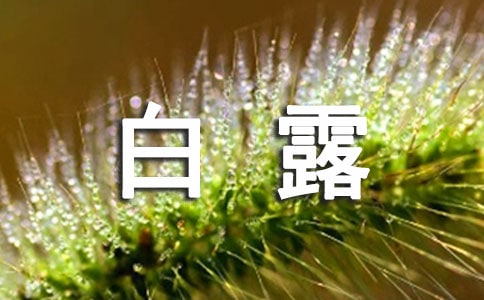 有关白露诗句