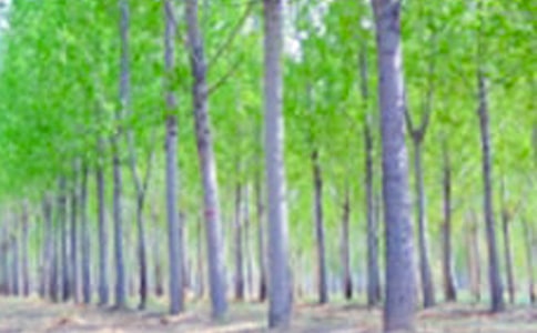 ��������и�