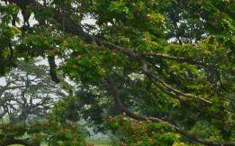 [��]����������