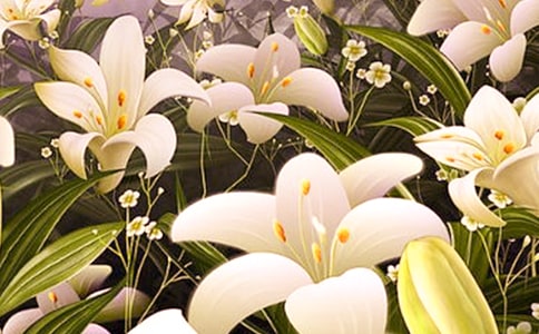 2023�����ݰٺϻ��ľ���26��