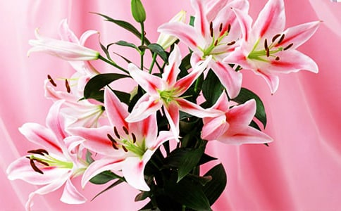 ���ݰٺϻ��ľ���28��