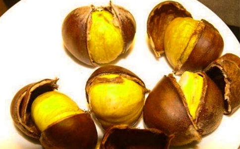 板栗的作文300字(集合)