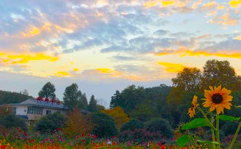 �����������ʱ��˵˵