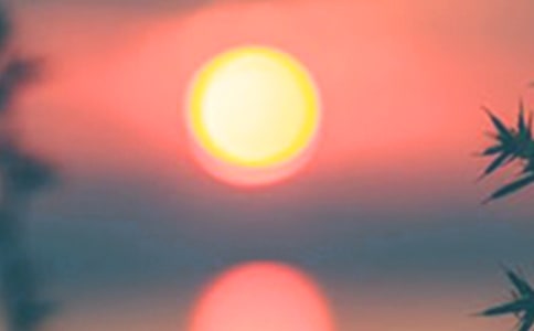 ���Ƽ�����������300��4ƪ