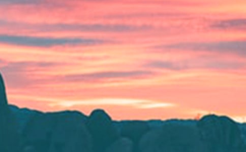 ������˵˵15ƪ