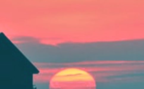 �����ƻ����������