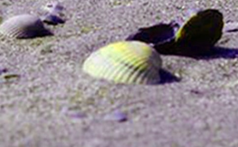 �������ǡ��и�