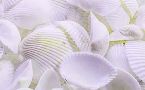 ���Ƿ�������