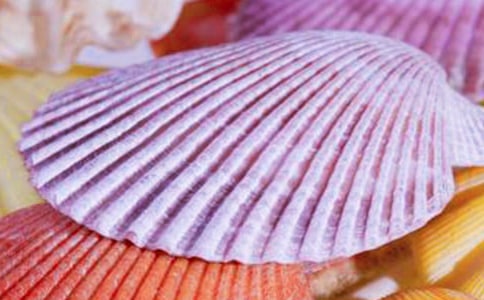 《白色的贝壳》读后感