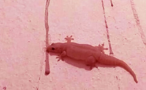 �ڻ���ˮ����