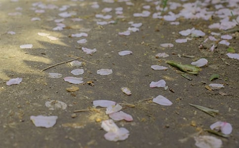 �����������γɵ�