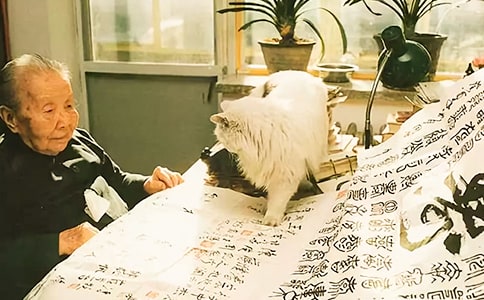 冰心的作品有哪些