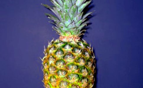 ʵ�õĲ�������300��