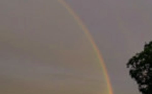 看见彩虹的说说4篇