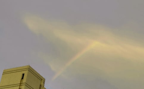 ���ڲʺ��Ψ��˵˵