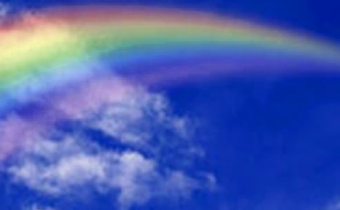 �������ʺ��Ψ������