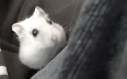 �����š����������300��4ƪ