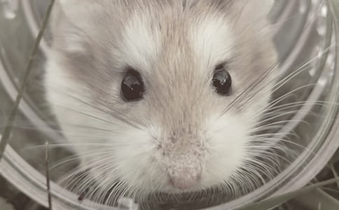 �����������ʲô����