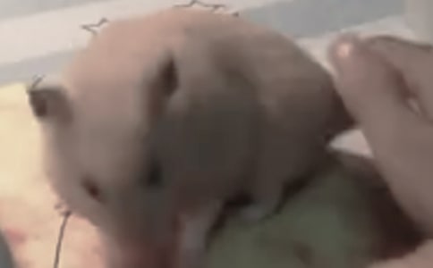 ���������300��[����]