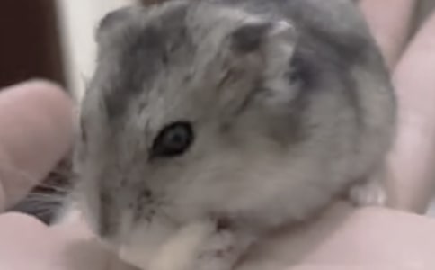 ����ѡ�����������300��6ƪ