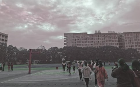 美丽的操场作文300字四篇