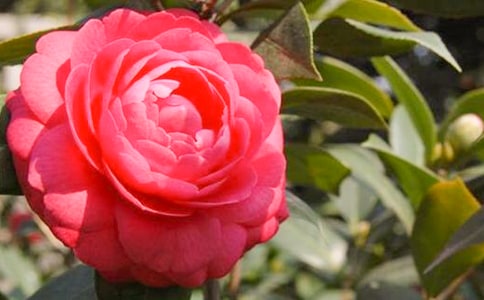 �軨����300��[����]