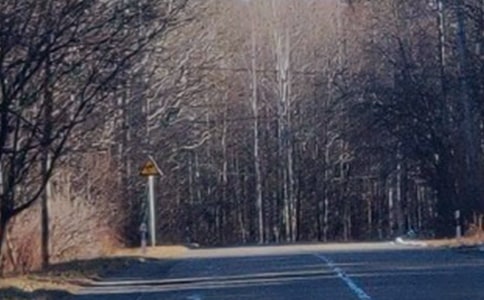 长白山地属于什么温度带