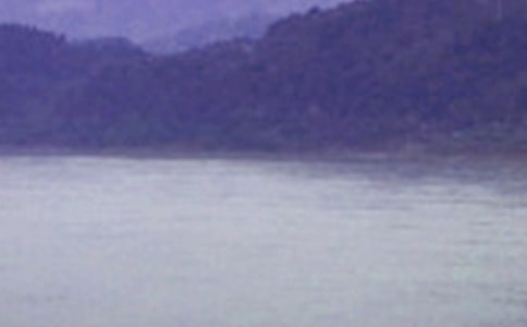 2021������ѧȫ������