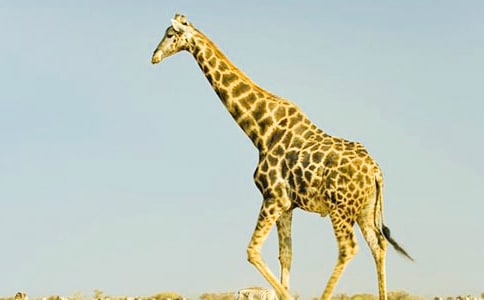 ������д����¹�ľ���