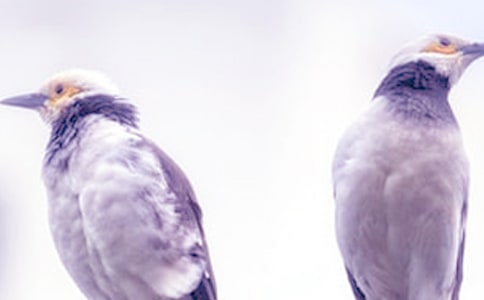 关于和父母吵架后的说说大全大全