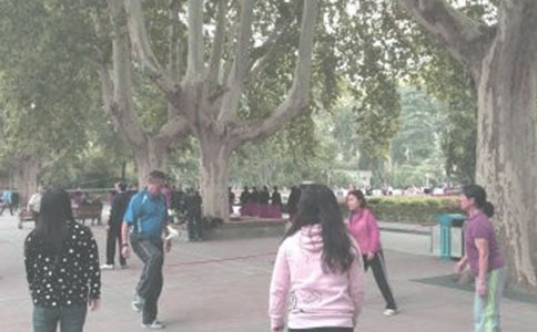 ʵ�õĳ�������300��4ƪ