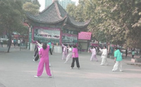 [��]ʵ�õĳ�������300��3ƪ