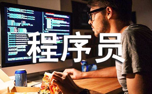 程序员自我鉴定(集合11篇)