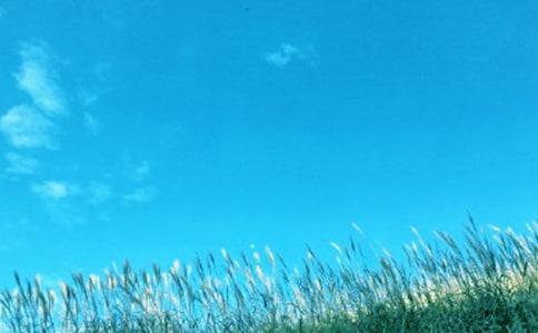 �����ж��ʵʩ����