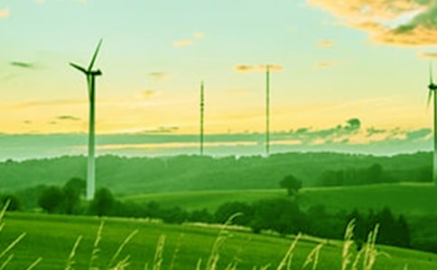 春风十里是什么动物