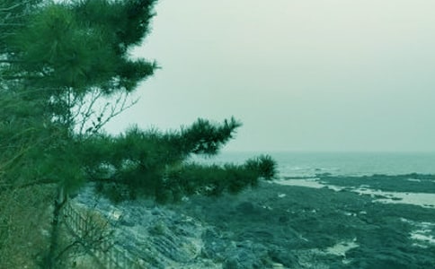 槐堂小学:春风十里 唯“读”最美