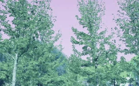 春风行动活动方案