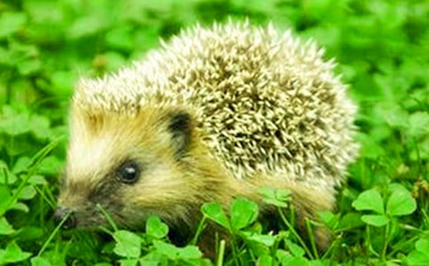 �������һ����˵˵