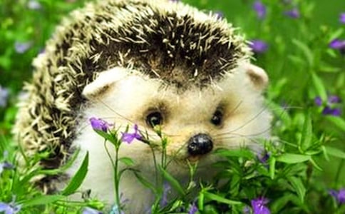 ��⬻�������