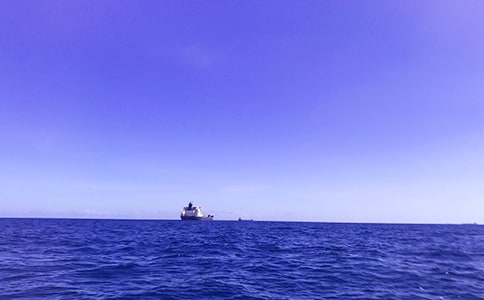 ��д�󺣵���������15ƪ