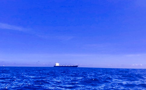 大海的句子(15篇)