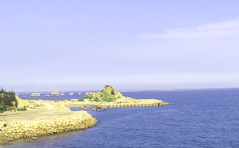 �󺣵���������