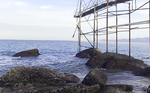 ��д�󺣵���������