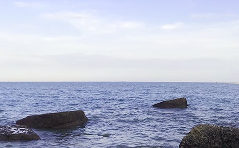大海治愈心情的句子13篇(优)
